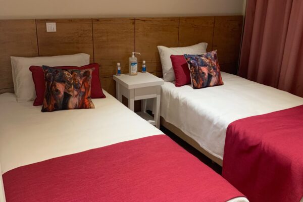 WhatsApp Image 2022-08-09 at 12.45.52 - Kopya