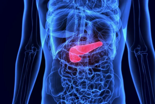 3d illustration human internal organ gallbladder anatomy